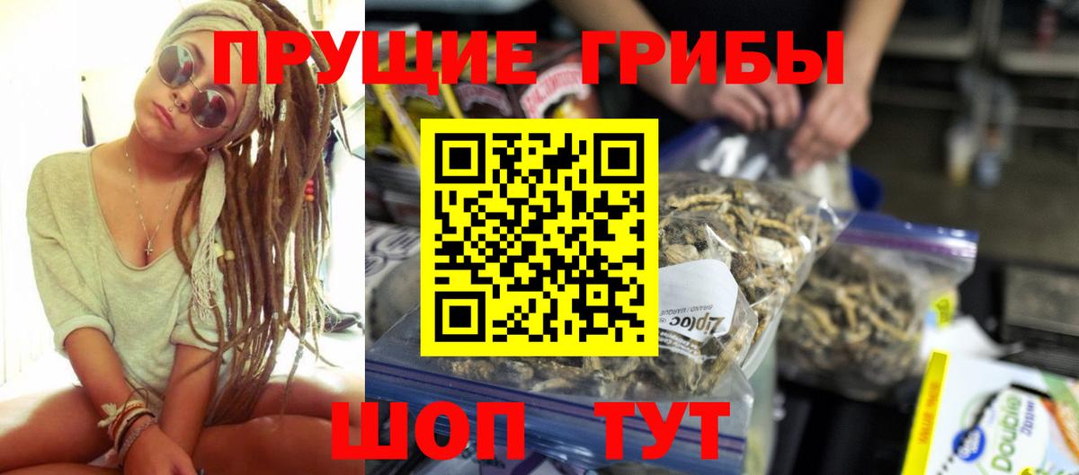 Псилоцибиновые грибы мухоморы Заводоуковск